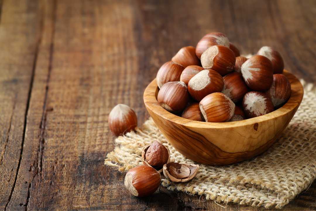 6 Reasons to Eat Hazelnuts During Pregnancy - Healthy Master